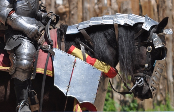 Sherwood-horse-935-web
