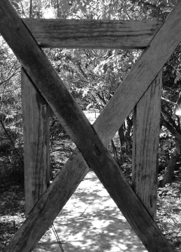 Xfactor-935-web